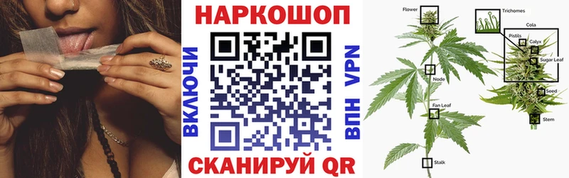 Все наркотики Североморск Метамфетамин  МЕФ  Марихуана  A PVP 