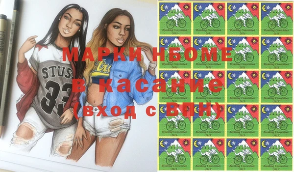 прущие грибы Баксан