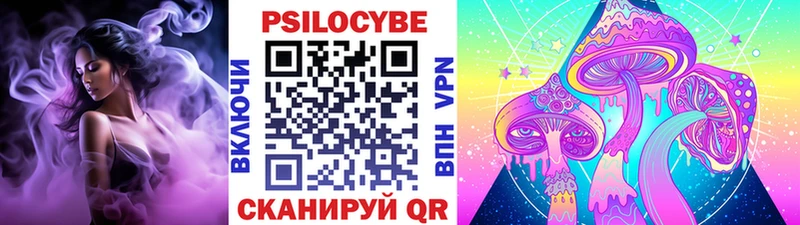 Псилоцибиновые грибы Cubensis  гидра вход  Североморск 