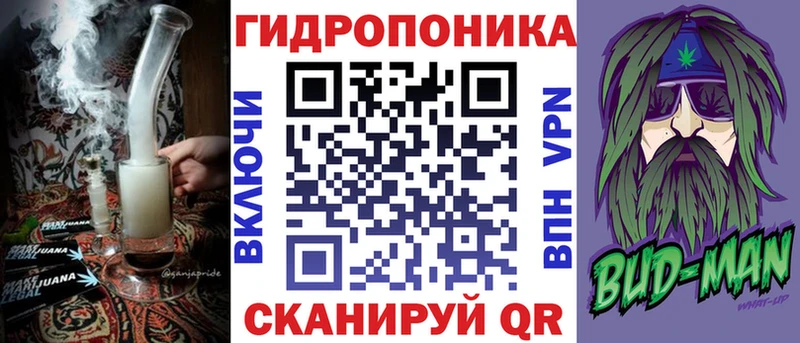 Конопля сатива  Североморск 